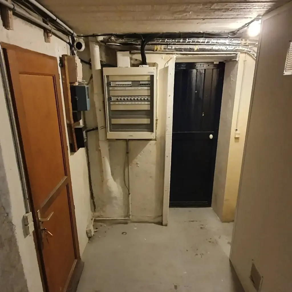 Subsol — tablou electric deschis cu panouri și sigile instalate, ușă serviciu neagră